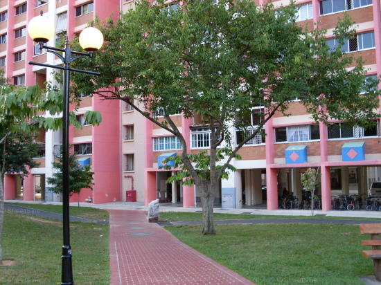 Blk 857 Tampines Street 83 (Tampines), HDB Executive #110772